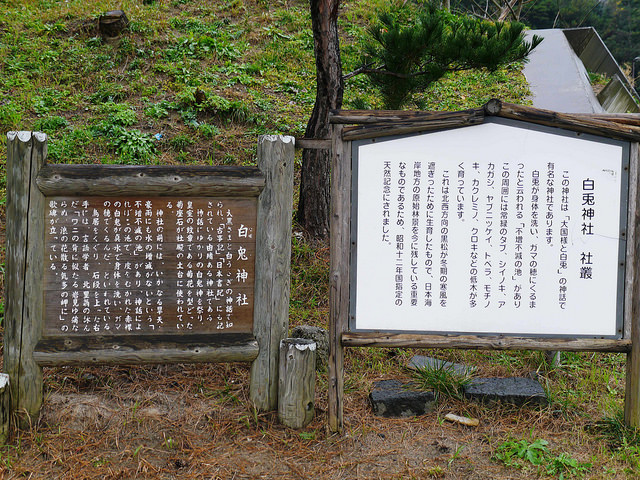 白兔神社的戀愛成就助攻！_img_5